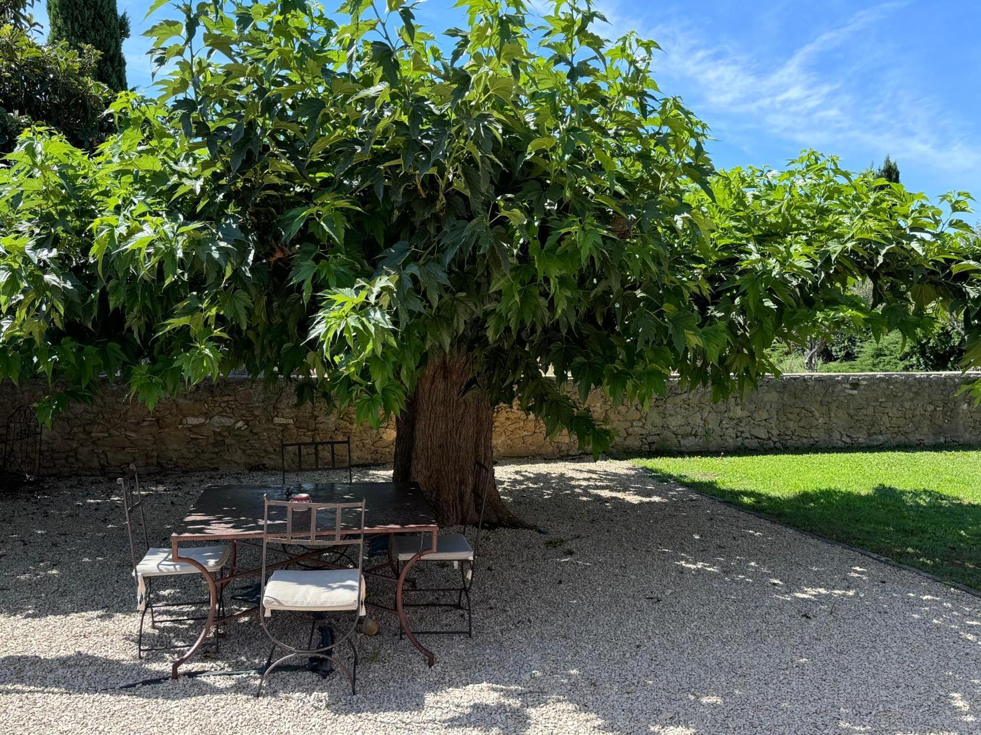 דירות Puyvert Bastide Du Buou חדר תמונה